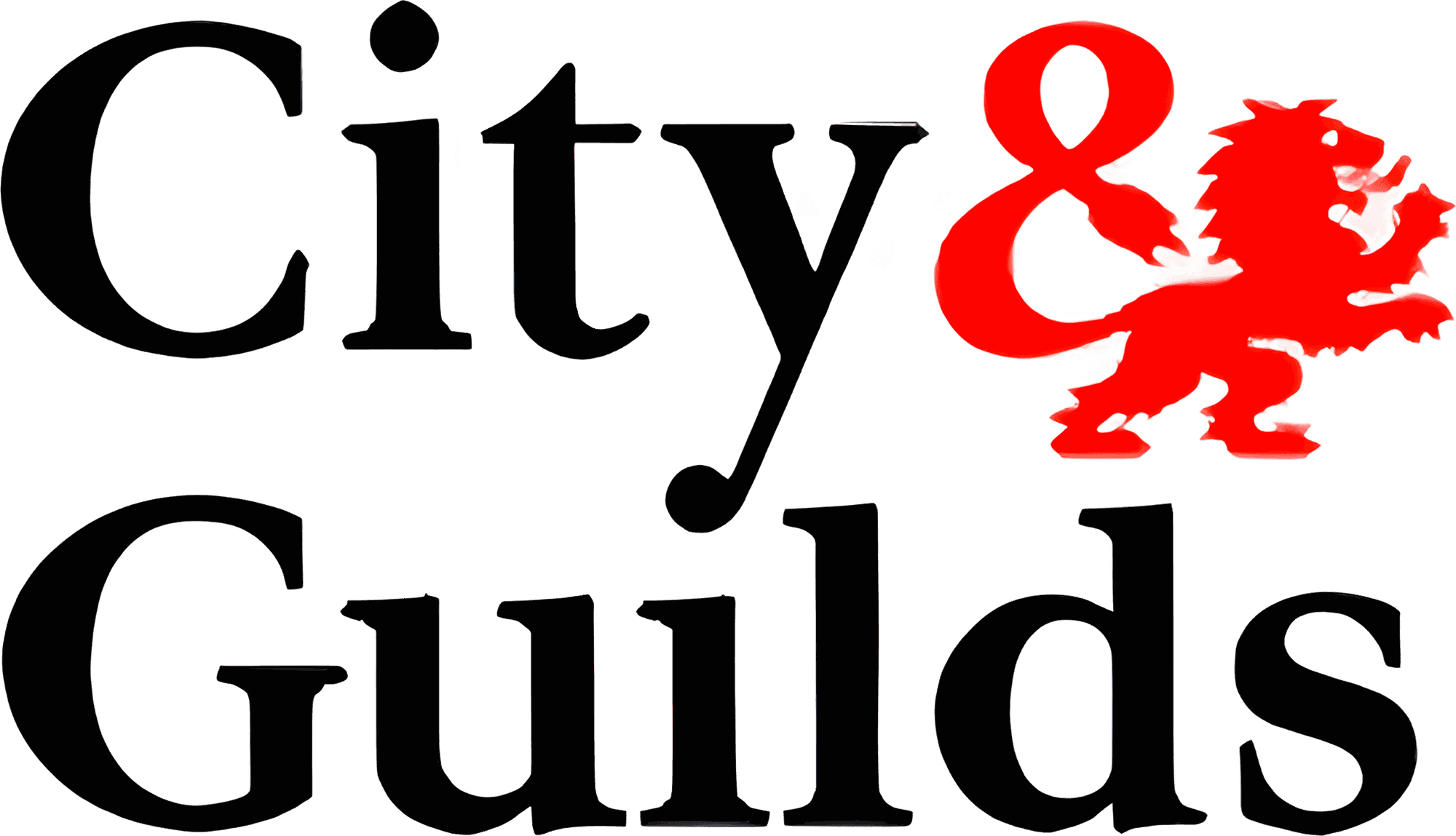 City & Guilds qualified electrician